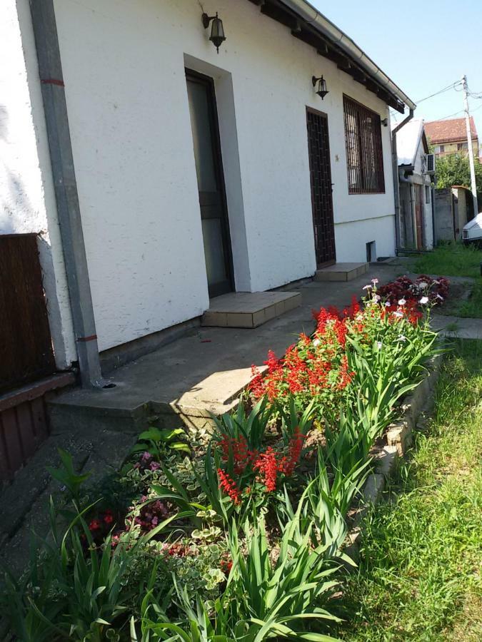 Apartman Romy Pancevo Exterior photo